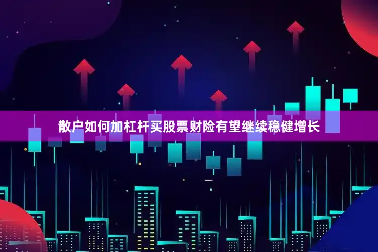 散户如何加杠杆买股票财险有望继续稳健增长