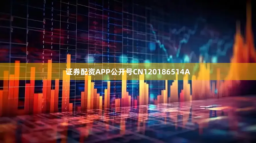 证券配资APP公开号CN120186514A