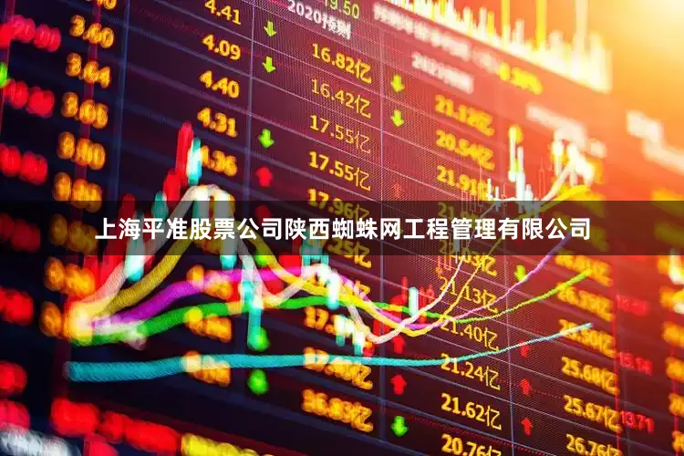 上海平准股票公司陕西蜘蛛网工程管理有限公司