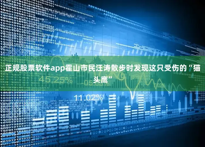正规股票软件app霍山市民汪涛散步时发现这只受伤的“猫头鹰”