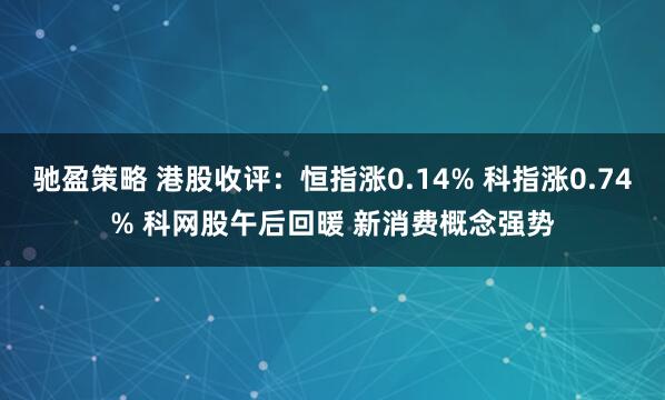 驰盈策略 港股收评：恒指涨0.14% 科指涨0.74% 科网股午后回暖 新消费概念强势