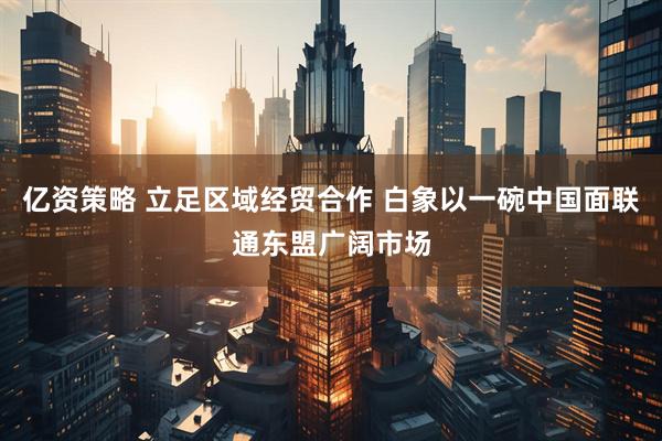 亿资策略 立足区域经贸合作 白象以一碗中国面联通东盟广阔市场